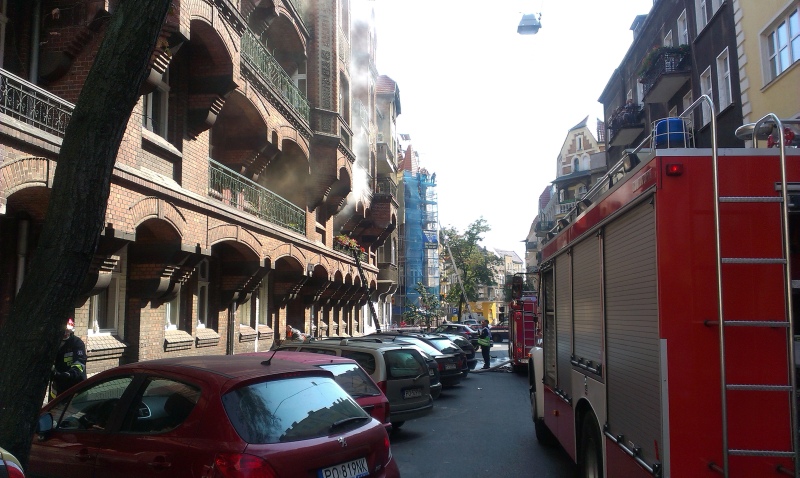 pożar strusia6 - Adam Michalkiewicz