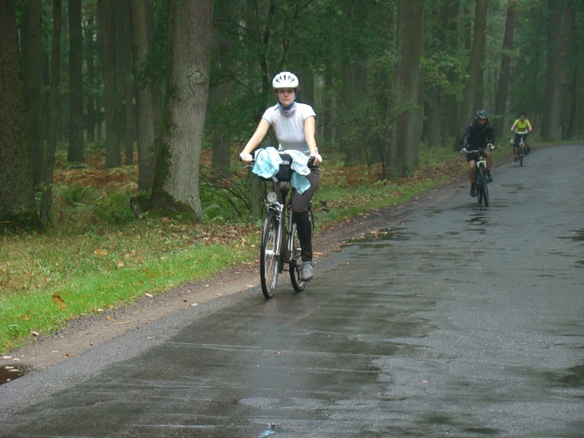 Piotr Niewiarowski, Piotr Niewiarowski jr