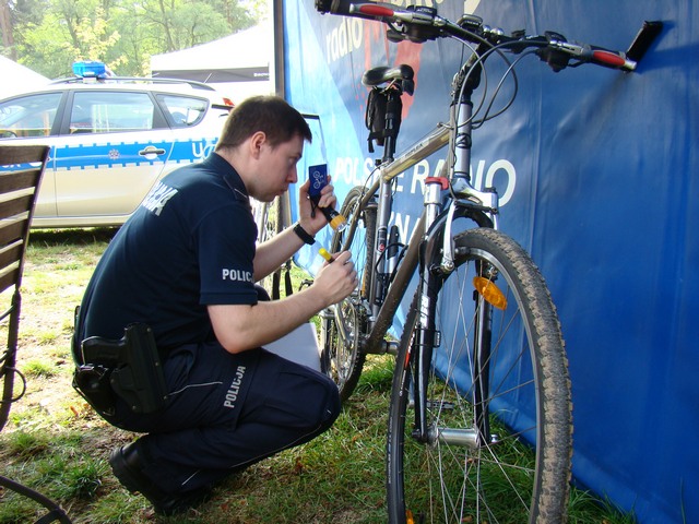 Piotr Niewiarowski, Piotr Niewiarowski jr