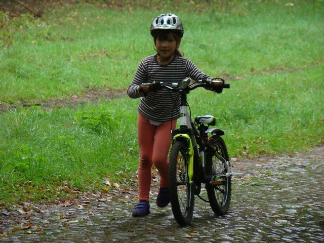 Piotr Niewiarowski, Piotr Niewiarowski jr