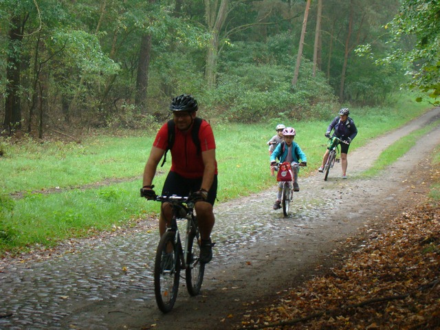 Piotr Niewiarowski, Piotr Niewiarowski jr