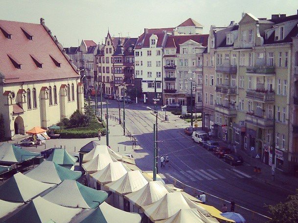 wildzianie - WILdzianie