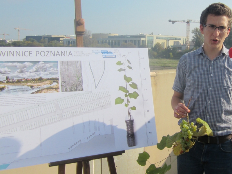 winnice poznania1 - Adam Michalkiewicz