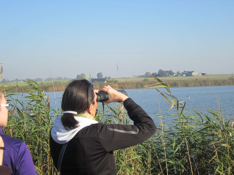 podglądanie ptaków - Rafał Regulski