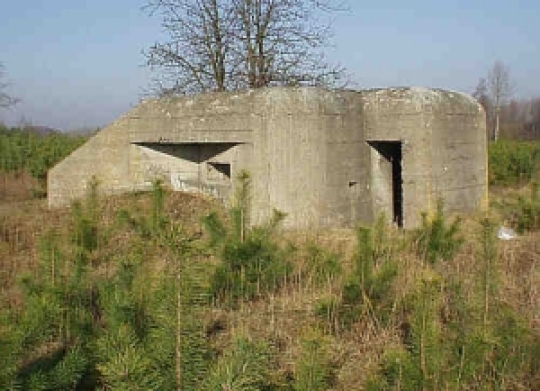 Bunkier w Kole - Iwona Krzyżak