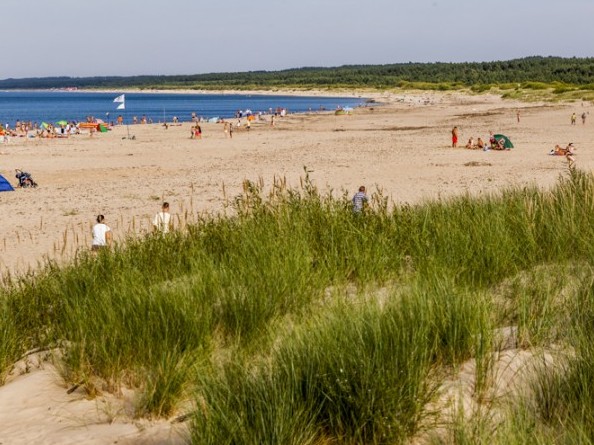 plaza nadrmowska gmina stegna - Gmina Stegna