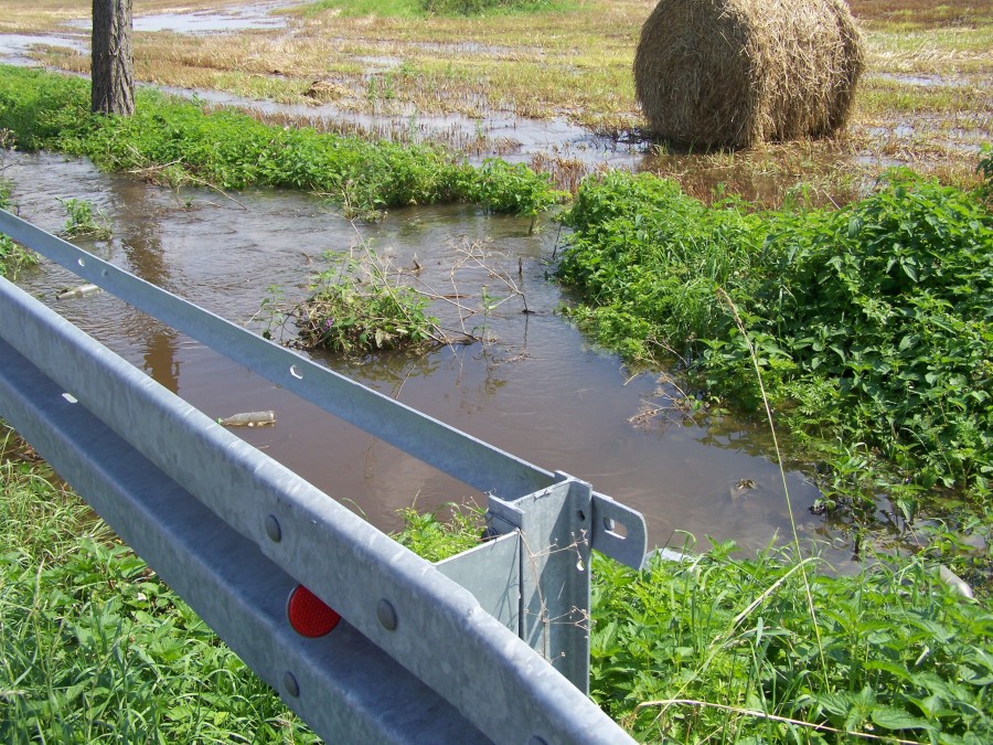zalane pola - powiat wrzesiński