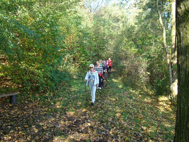 Piotr Niewiarowski, Piotr Niewiarowski jr