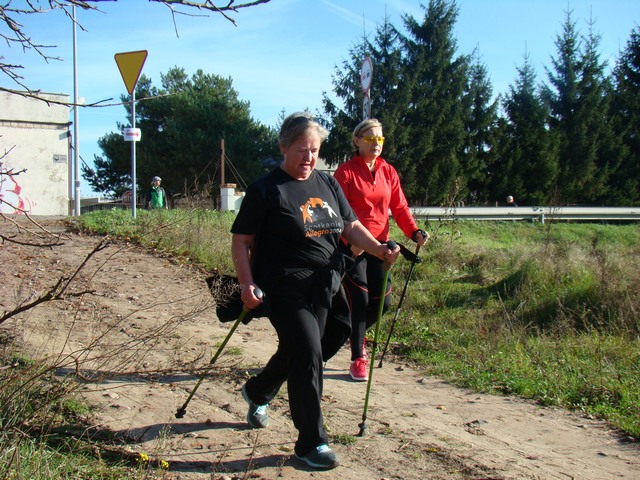 Piotr Niewiarowski, Piotr Niewiarowski jr