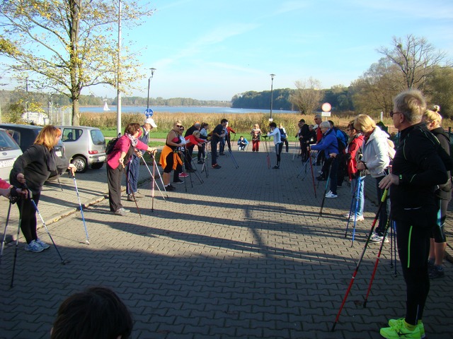 Piotr Niewiarowski, Piotr Niewiarowski jr