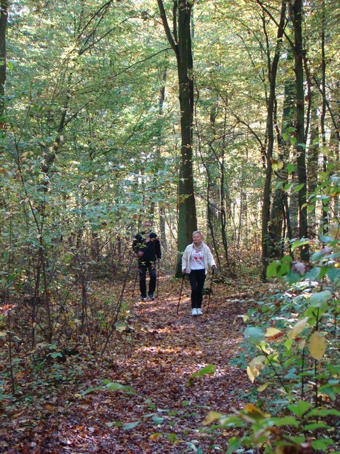 Piotr Niewiarowski, Piotr Niewiarowski jr