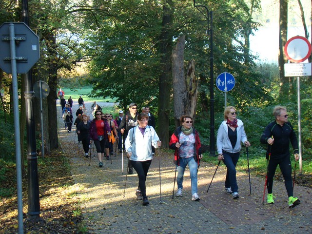 Piotr Niewiarowski, Piotr Niewiarowski jr