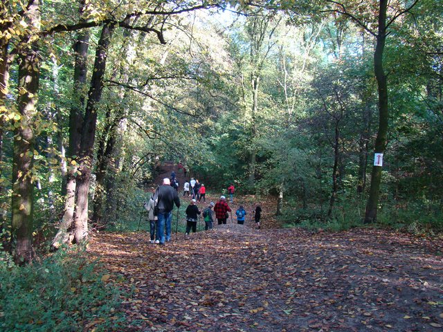 Piotr Niewiarowski, Piotr Niewiarowski jr