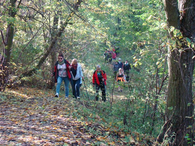 Piotr Niewiarowski, Piotr Niewiarowski jr