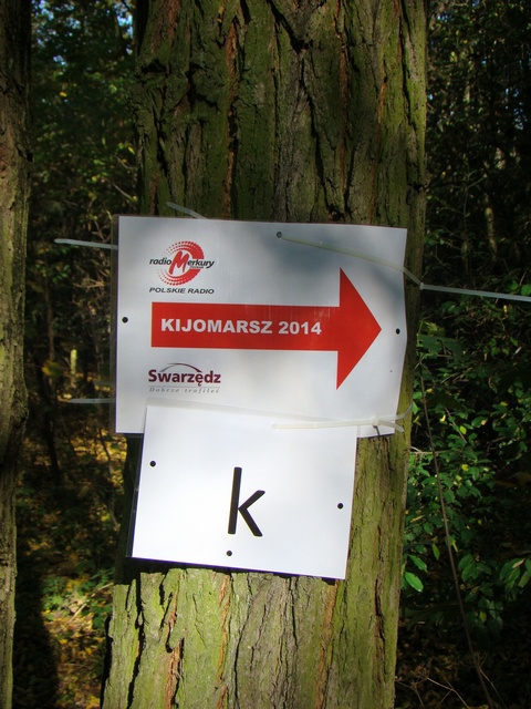 Piotr Niewiarowski, Piotr Niewiarowski jr