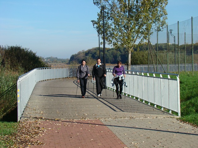 Piotr Niewiarowski, Piotr Niewiarowski jr