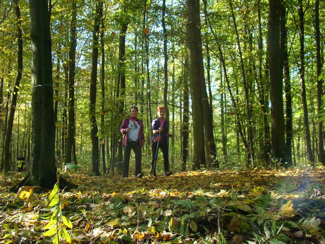 Piotr Niewiarowski, Piotr Niewiarowski jr