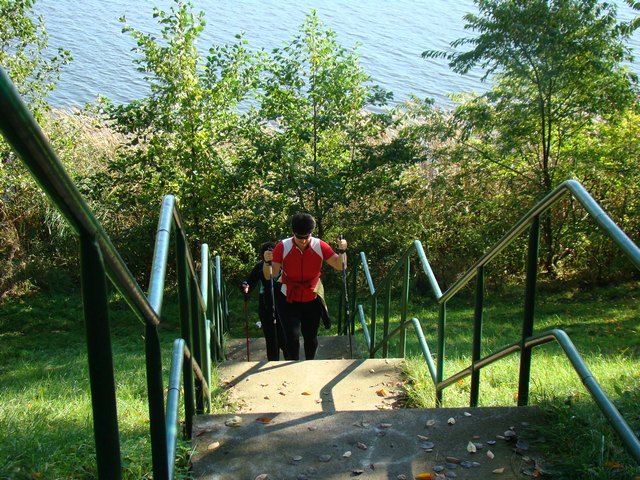 Piotr Niewiarowski, Piotr Niewiarowski jr