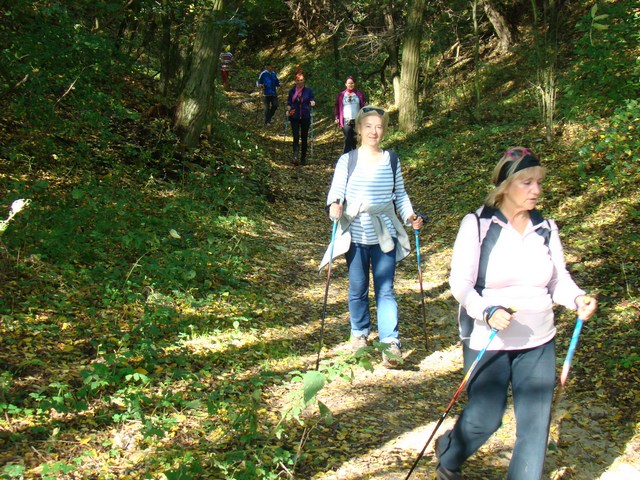 kijomarsz radiomerkury (6) - Piotr Niewiarowski, Piotr Niewiarowski jr