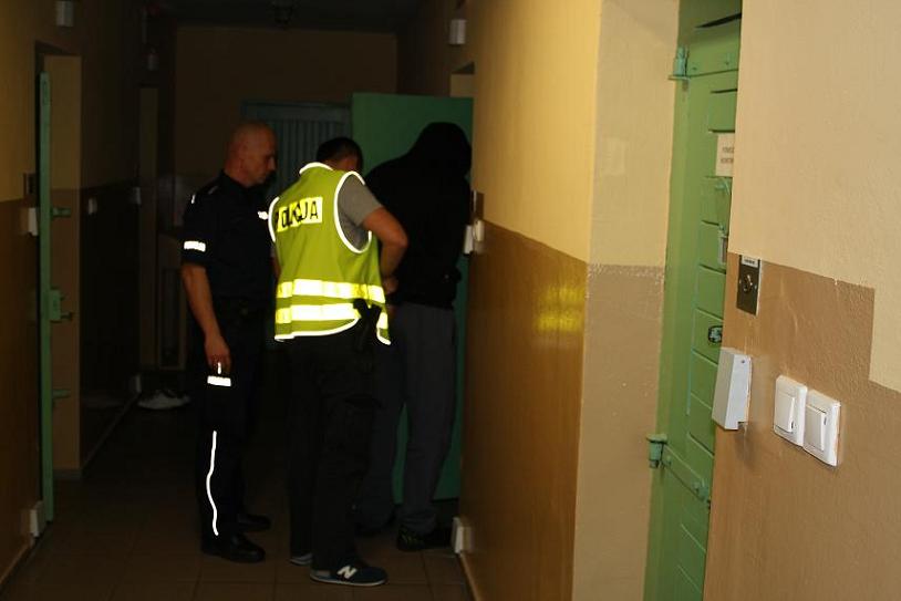 zatrzymany ws wyrwania torebki - Policja/Gostyń