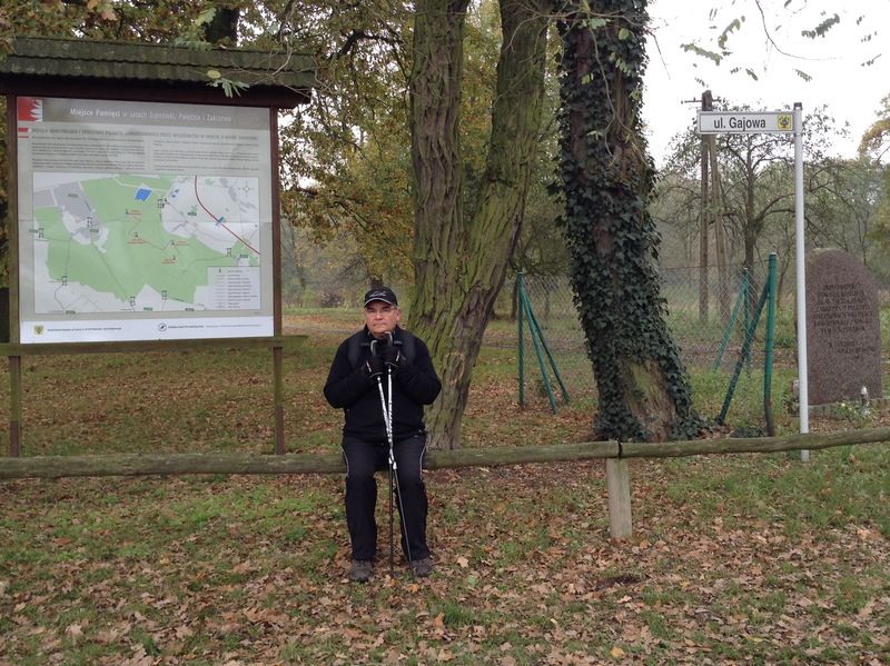 Znicze w Lasach Palędzko-Zakrzewskich