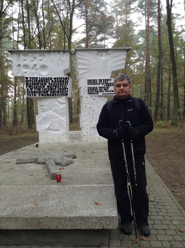 Znicze w Lasach Palędzko-Zakrzewskich