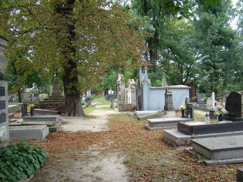 cmentarz kalisz1 - Wojciech Biedak