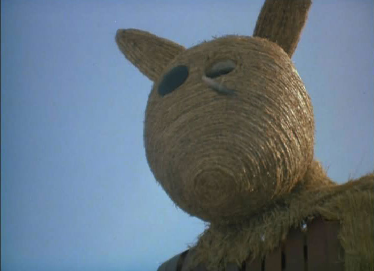 miś z filmu miś - Film Miś