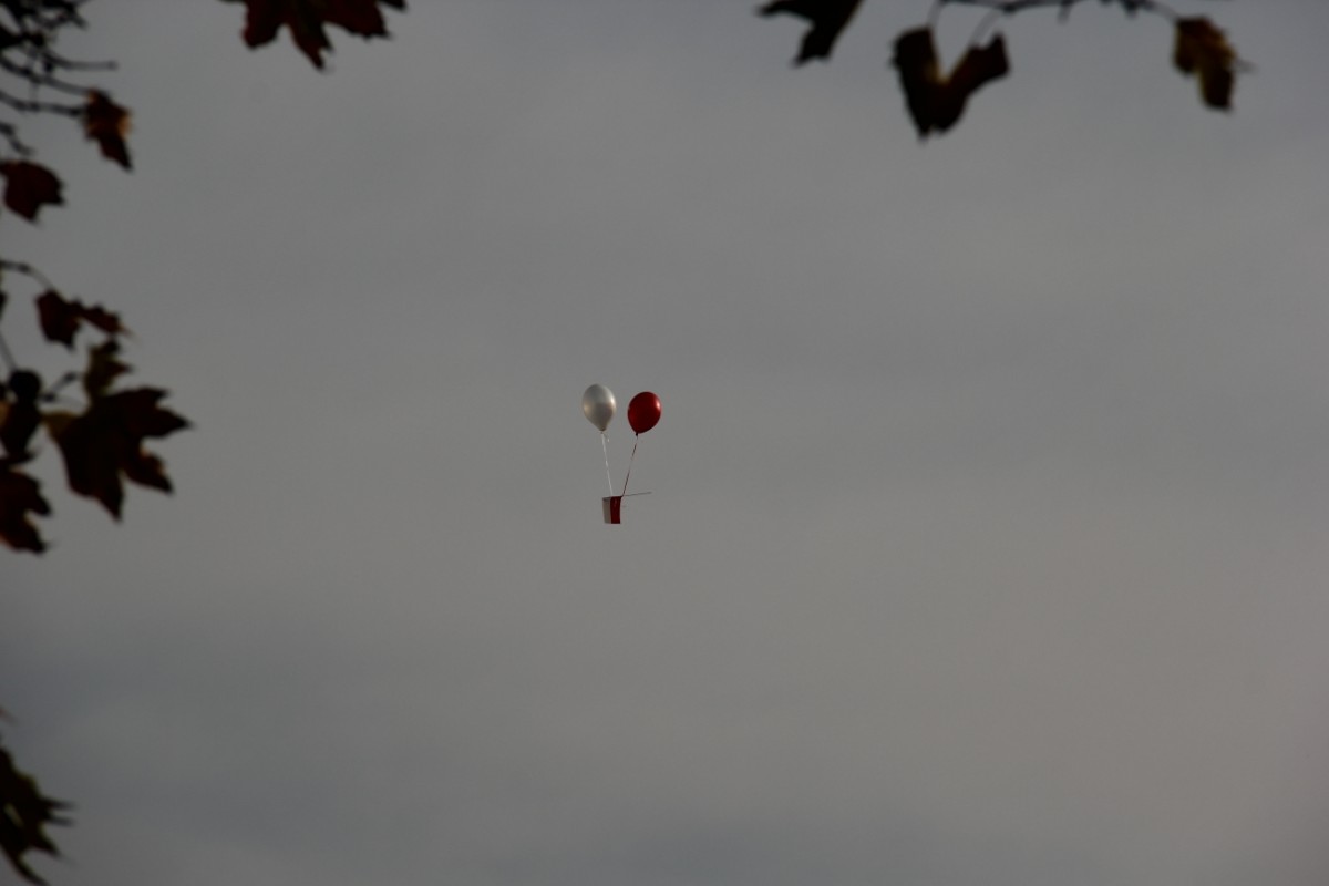 Grzegorz Maciejewski