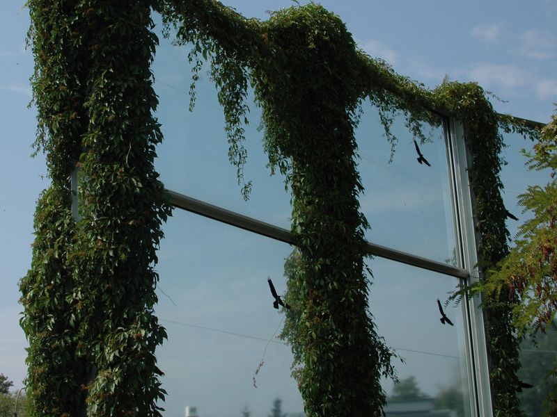 ekran akustyczny - Szymon Mazur