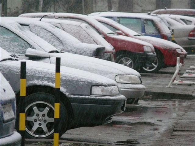 Śnieg w Pile - pierwsze opady - Wiesława Pinkowska