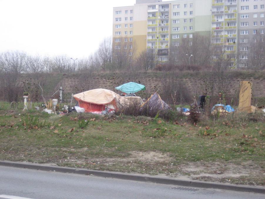 bezdomna z piątkowa 2014 - Jacek Butlewski