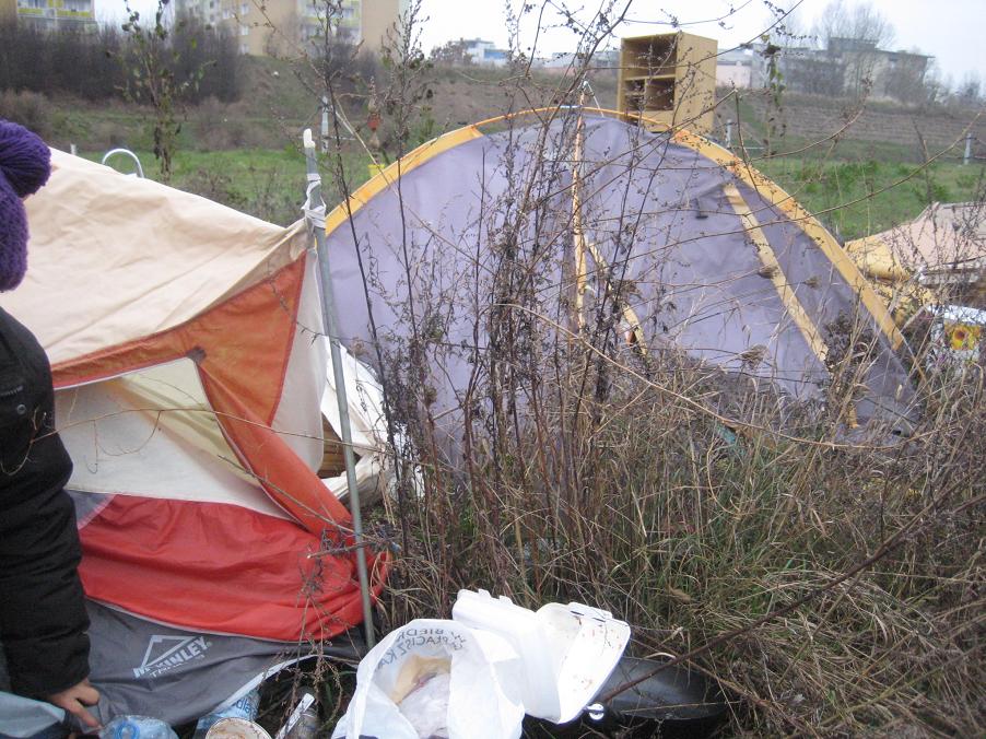 bezdomna z piątkowa 2014 (2) - Jacek Butlewski