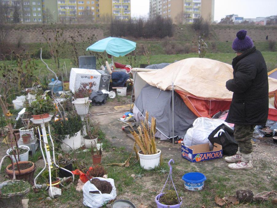 bezdomna z piątkowa 2014 (5) - Jacek Butlewski