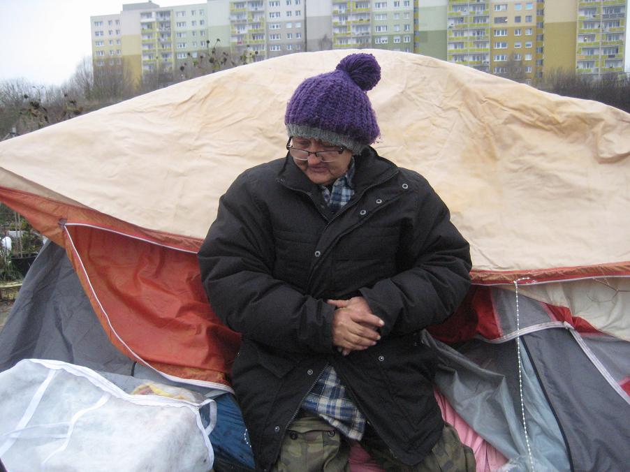 bezdomna z piątkowa 2014 (1) - Jacek Butlewski