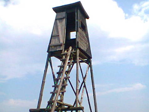 ambona myśliwska polowanie - Jacek Butlewski