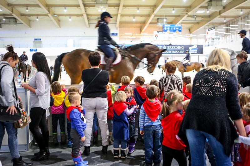 cavaliada 2014 cd (3) - Cavaliada 2014/MTP