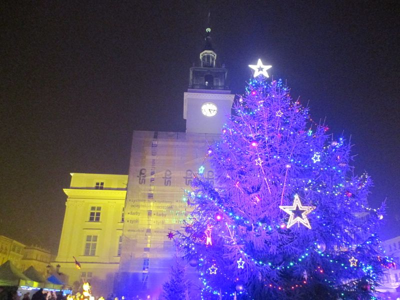 miejska choinka kalisz - Danuta Synkiewicz
