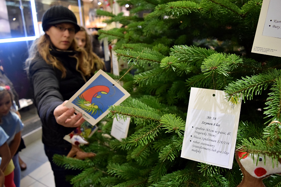 pusta-choinka-4 - Marcin Maziarz