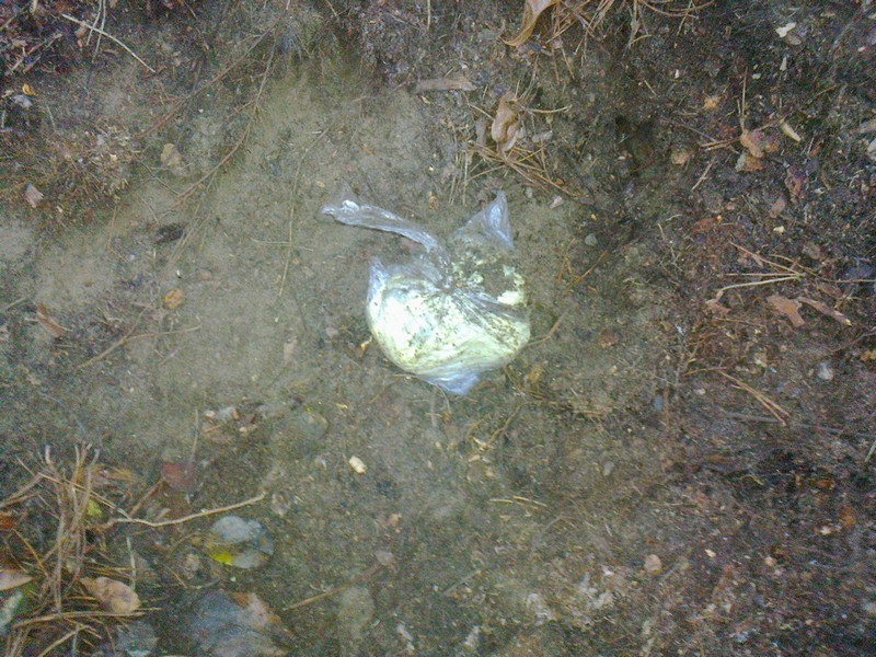 amfetamina zakopana w lesie - Policja/Poznań