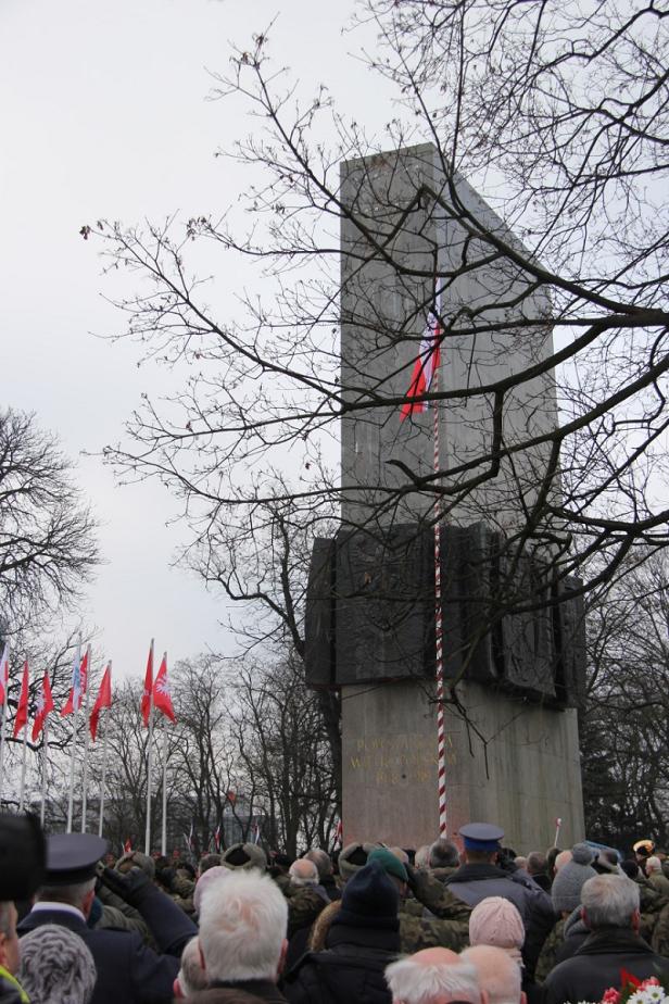 Grzegorz Maciejewski 