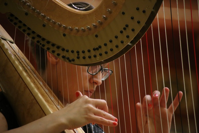 w karnawałowym nastroju (15) - Antoni Hoffmann