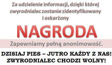 stow lapa nagroda za psa - Stowarzyszenie Łapa