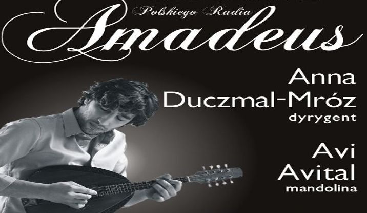 amadeus avital - Orkiestra Amadeus