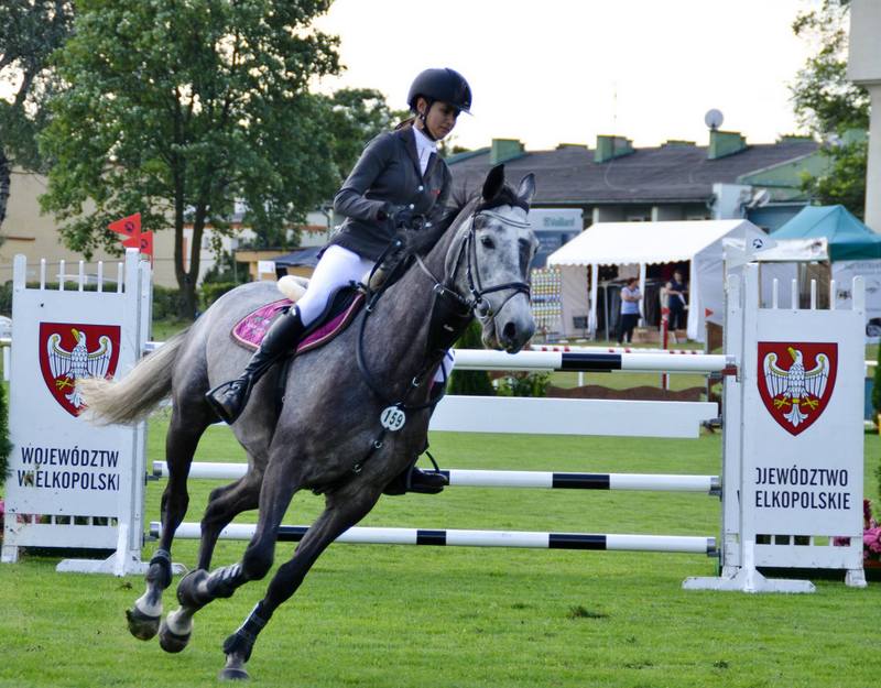 hipodrom wola zawody jezdzieckie jazda konna - Hipodrom Wola