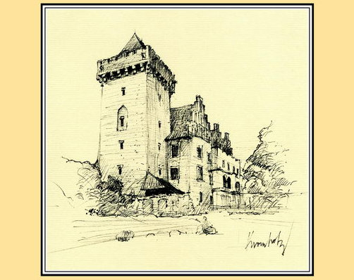 zamek królewski książka - Bogucki Wydawnictwo Naukowe