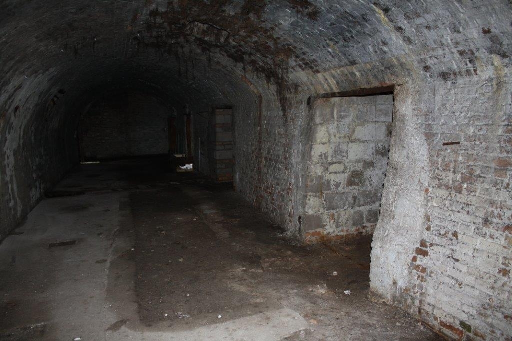 stary browar w pile dla nietoperzy rezerwat - Daniel Lisek