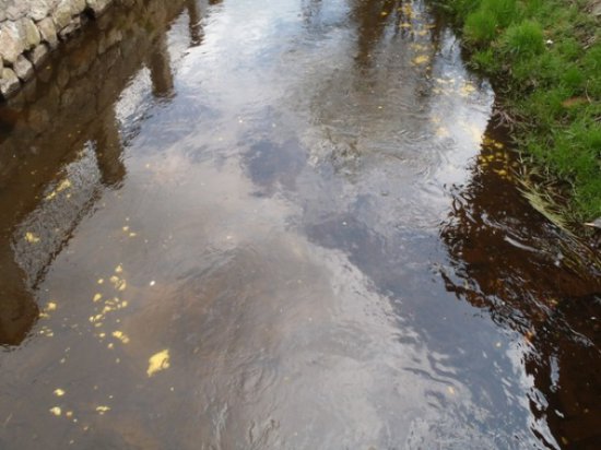 zanieczyszczenie rzeki - PSP Poznań