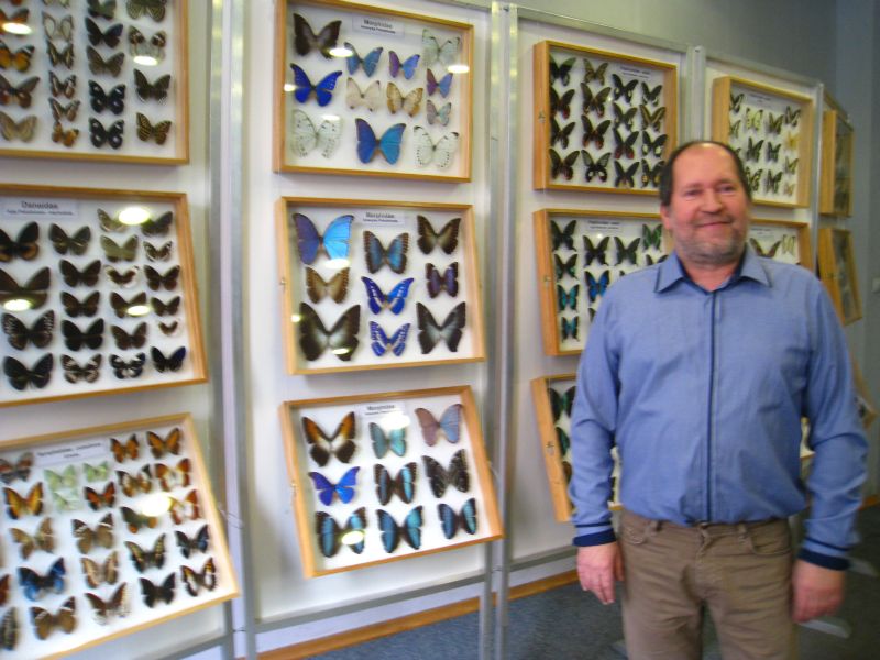 motyle na szpilkach - Agnieszka Maciejewska