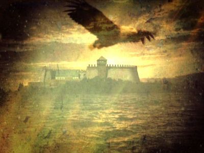 ukryte gniezdo dynastii - TVP Historia